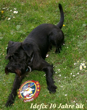 Idefix2