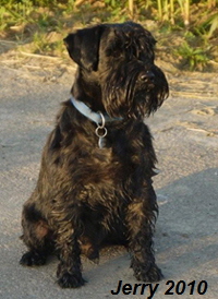 Jerry_Sommer201002
