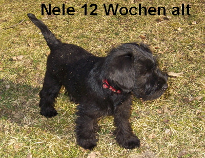 Nele Baby 059 (1)02 Nele Baby 059 (1)02