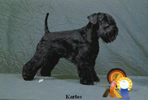 Paul-Karlos vom Erlengraben