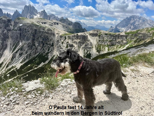 O'Paula fast 14 Jahre alt 
beim wandern in den Bergen in Sdtirol