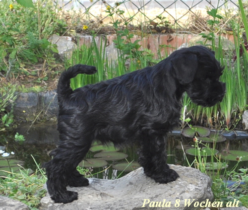 Paula 29.05