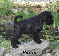 Paula 29.0504