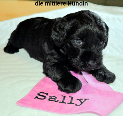 Paula Welpen 09.06.13 015