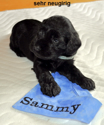 Paula Welpen 09.06.13 00302