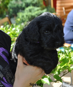 Paula Welpen 23.06.13 02102