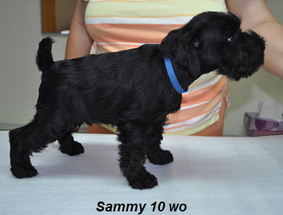 Paula Welpen 25.07.13 00804