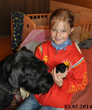 Paula Welpen Geburt 030514 01102