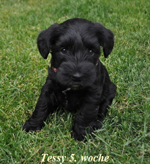 Paula Welpen  030614 01502