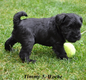 Paula Welpen  040614 016