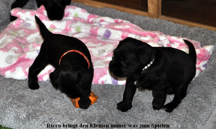 Paula Welpen  280514 030