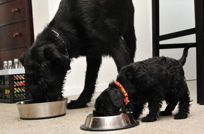 Samuel im neuen Zuhause03