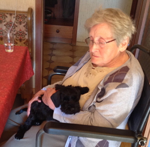 Schnauzi im neuen Zuhause02