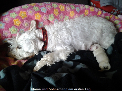 Tina und Uno 27.04.1502