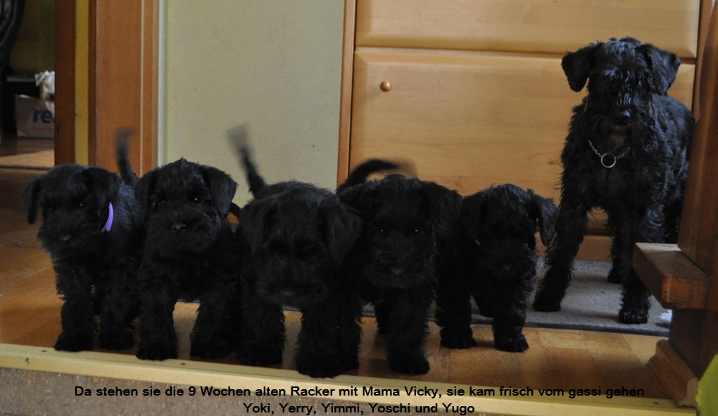 Treppenhaus 23.November