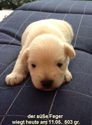 Uno 2. Woche 11.5.02