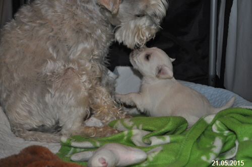 Uno 21 Mai (15) Kopie