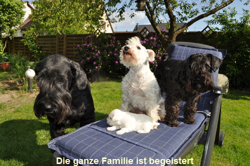 Uno 21 Mai (7) Kopie