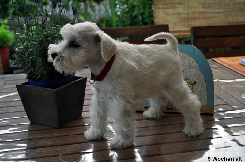 Uno 28 Juni (16) Kopie