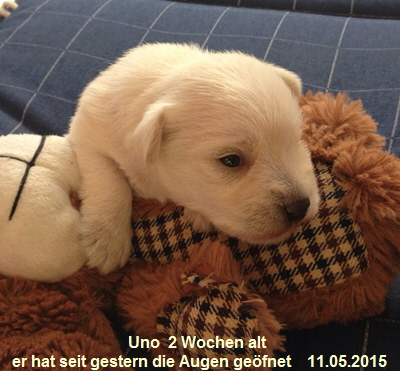 Uno 2 Woche 11.504