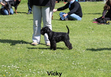 Vicky Nbg. 30.04.17 (4)