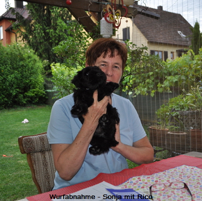 W-Wurf 09.06.2017 034