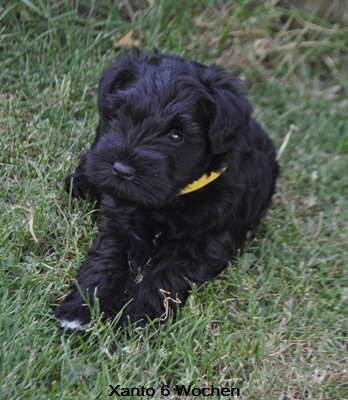 Welpen X 08 Mai JPG (27)02