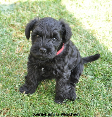 Welpen X 11 Mai 18 (22)