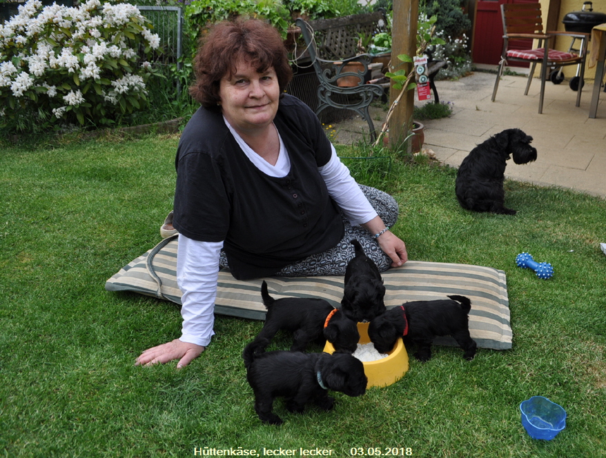 Welpen X 3 Mai 18 (15)