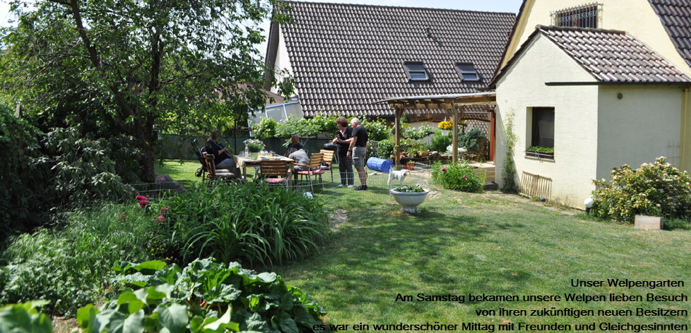 Welpengarten 6