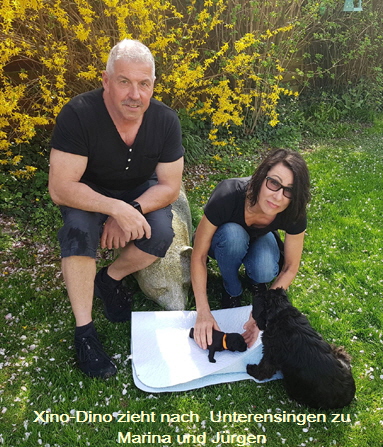 Xino-Dino 2,5 Wo seine Familie Kopie