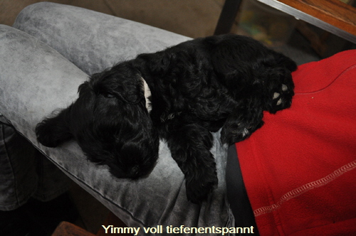 Y Wurf 2.Nov.19 (74)