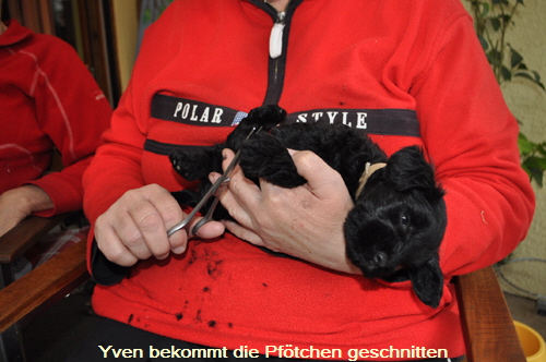 Y Wurf 2.Nov.19 (73)