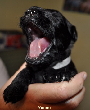 Y Wurf 7.Okt.19 (17)