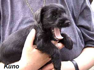 !cid_000501c450c6$8574fd80$ae1ffea9@vaio