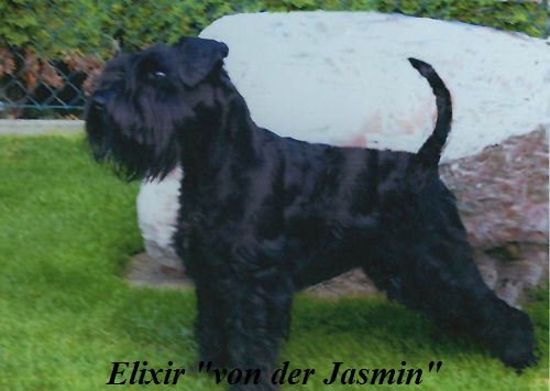 elixir02