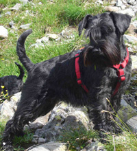 urlaubmontafon05404