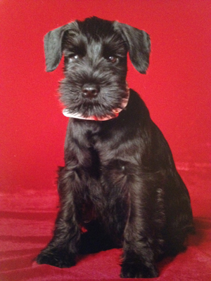 zuhause Quando1 Kopie